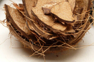 Design sostenibile: la fibra di cocco nell’arredamento eco-friendly